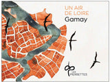 Domaine des Pierrettes, Un Air de Loire, Gamay, Touraine, Loire Valley, 2023
