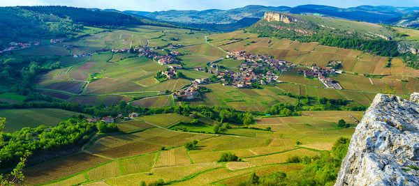 Wine & The Burgundy Region: Tradition and Embracing Nature